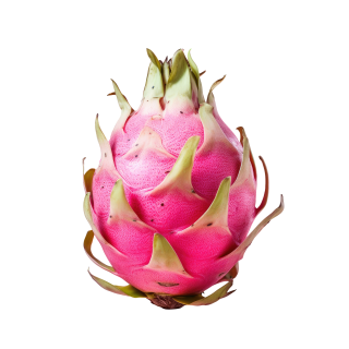 Dragon fruit Pitahaya ecuatoriana pita earth